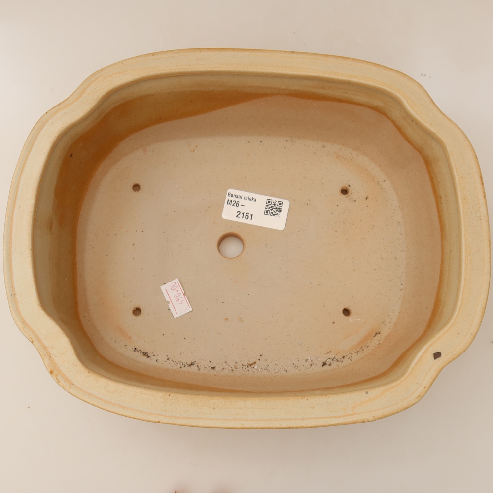 Pot à bonsaï en céramique 24,5 x 21 x 7,5 cm, couleur beige