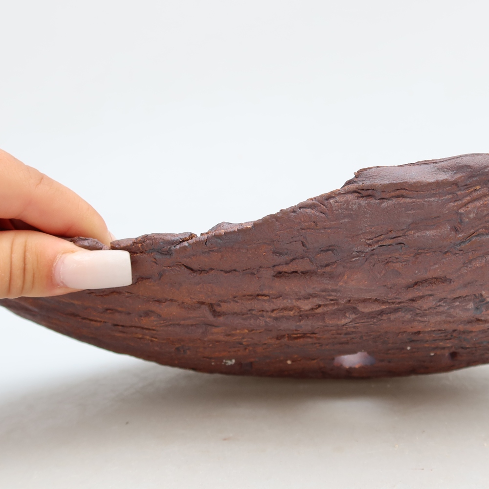 Coquille en céramique  30,5 x 19 x 6 cm, couleur marron