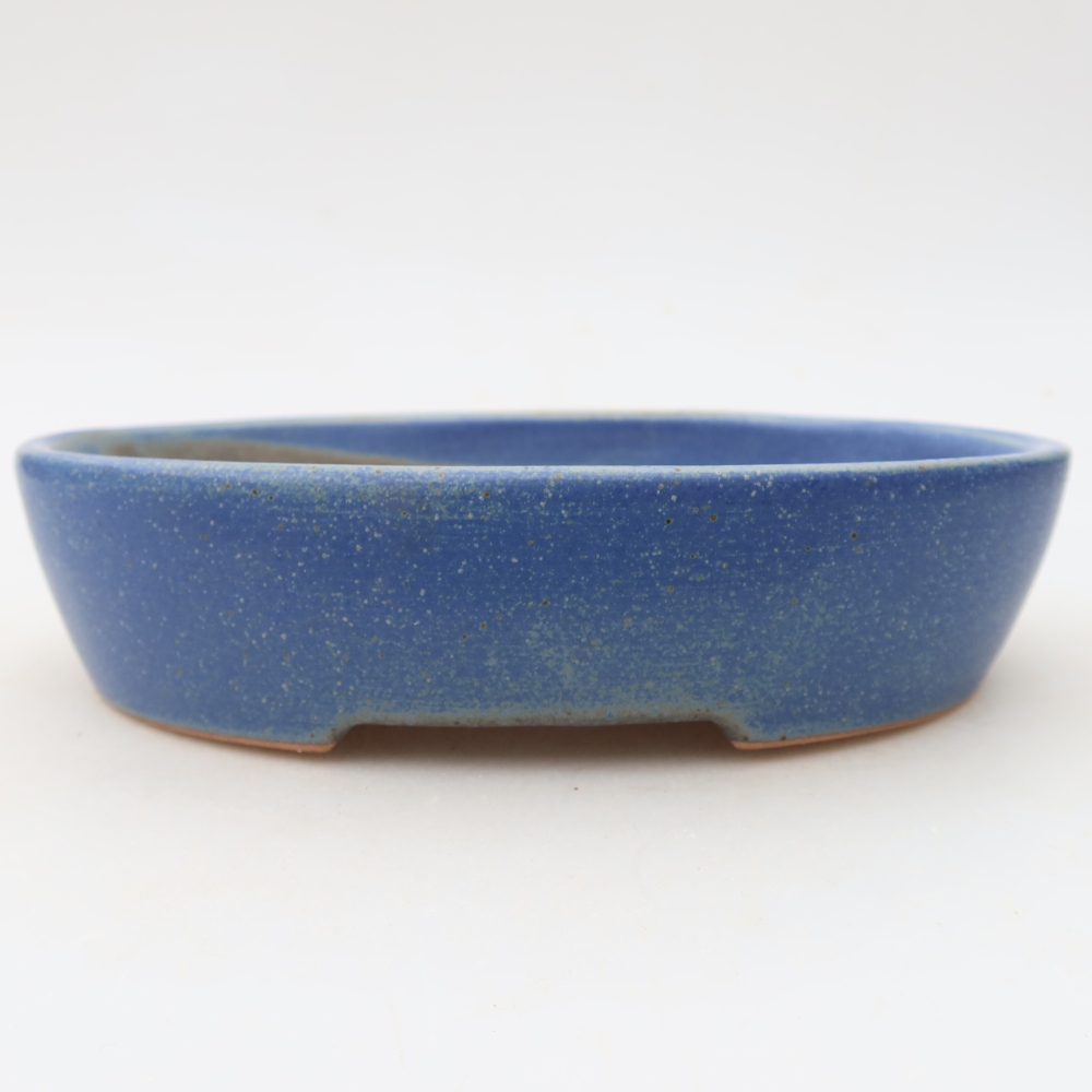 Pot à bonsaï en céramique 17 x 14 x 4 cm, couleur bleue