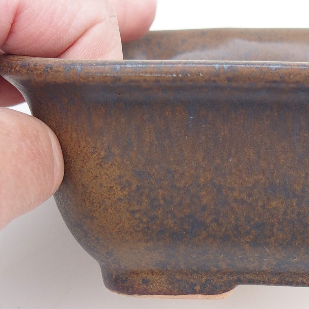 Bol à bonsaï H11 - 11,5 x 10 x 4 cm.