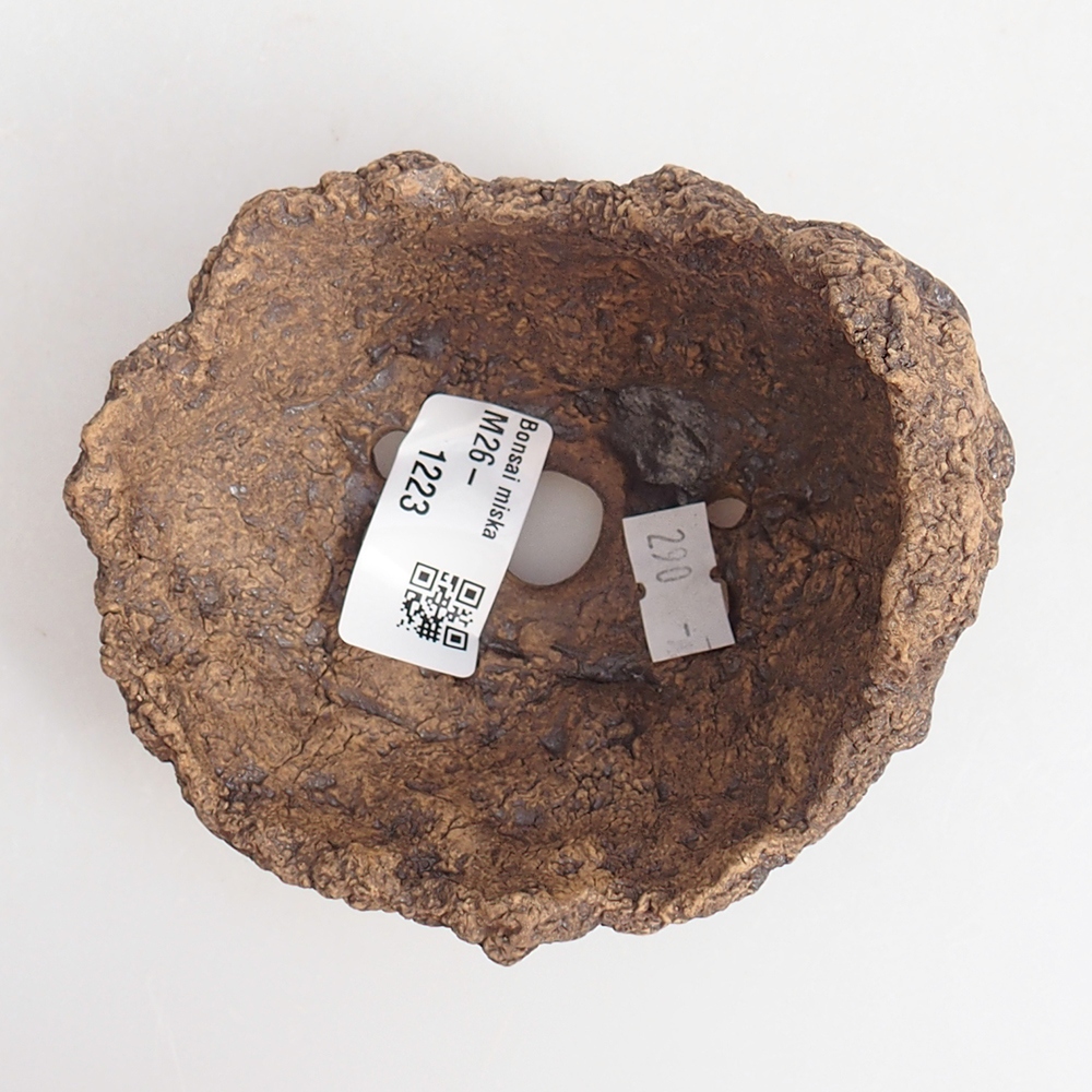 Coquille en céramique 10 x 8 x 9 cm , couleur marron