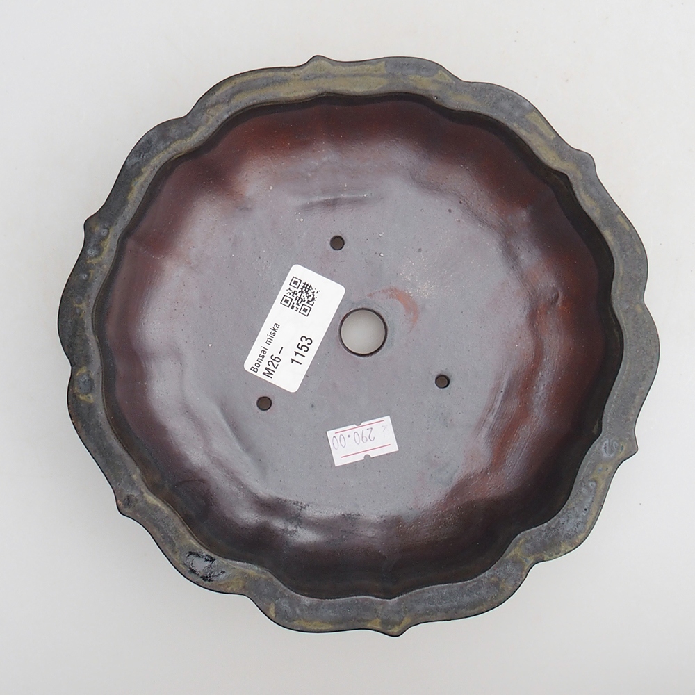 Bol à bonsaï en céramique 18 x 18 x 4,5 cm, brun