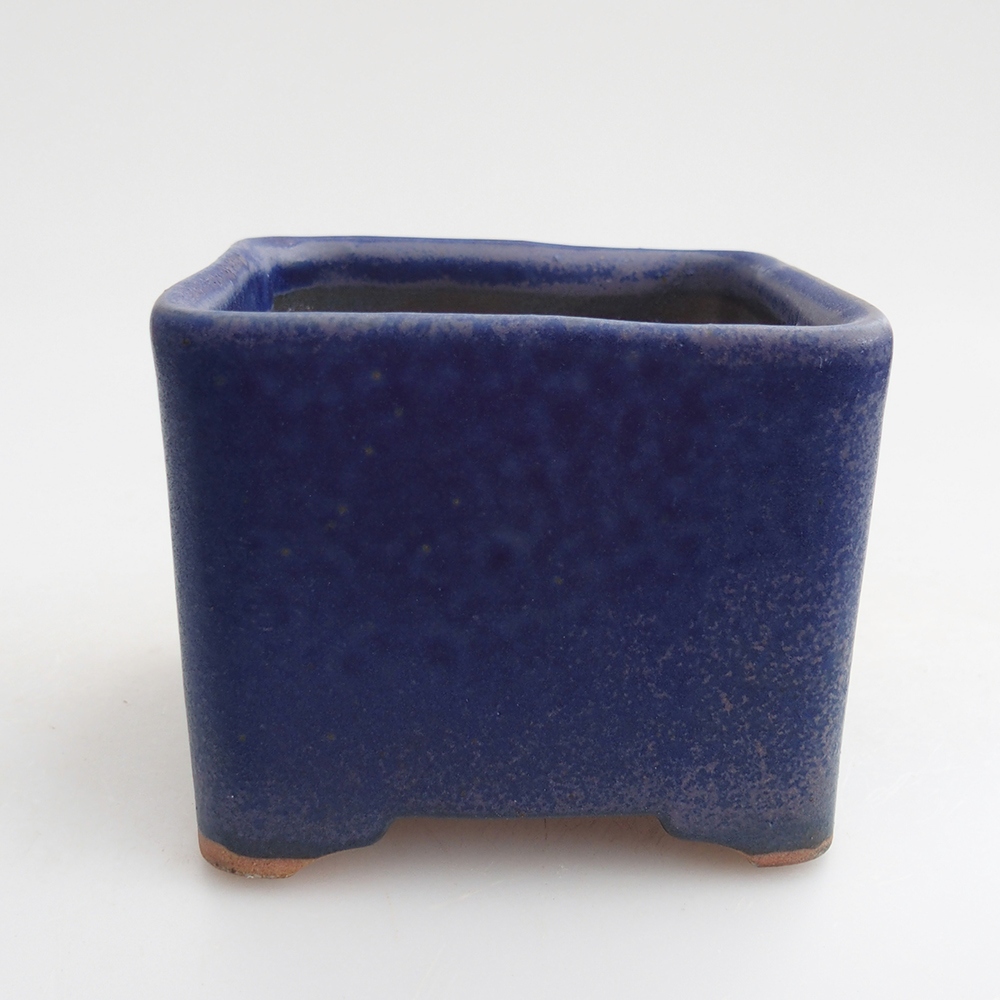 Bol à bonsaï en céramique 10 x 10 x 8 cm, couleur bleu
