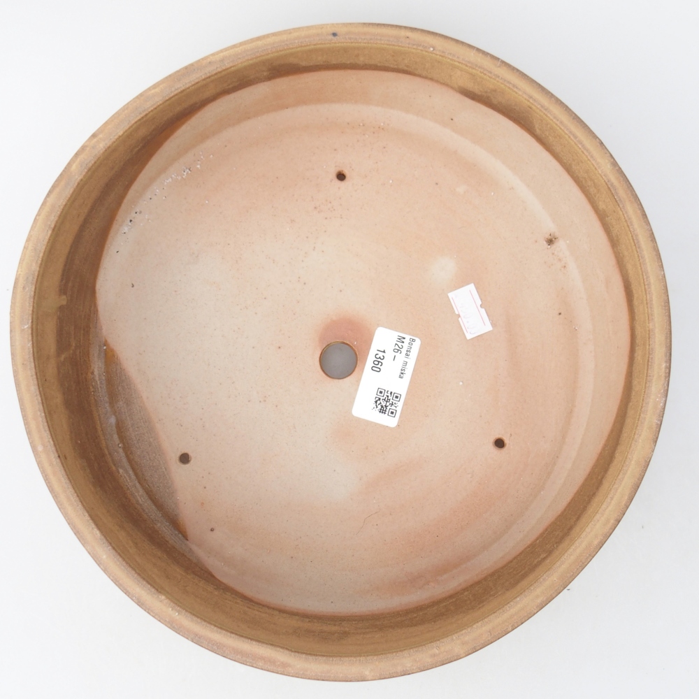 Bol à bonsaï en céramique 24,5 x 24,5 x 7 cm, couleur beige