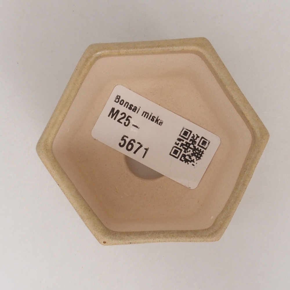 Mini bol bonsaï 7 x 5,5 x 4,5 cm, brun