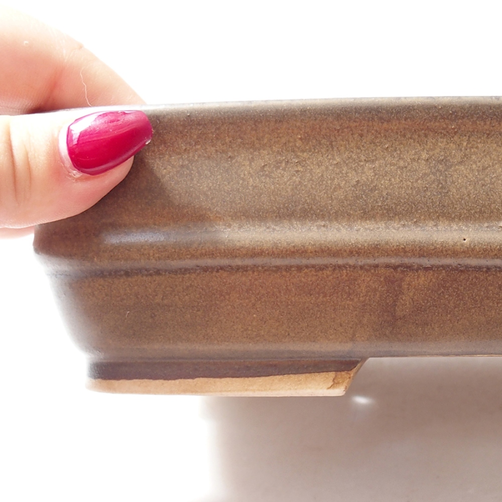 Bol à bonsaï en céramique 22 x 19 x 5,5 cm, brun