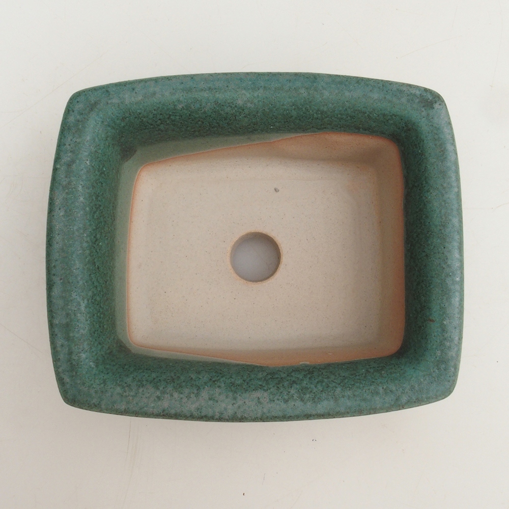 Bol pour bonsaï H11 - 11,5 x 10 x 4 cm - vert