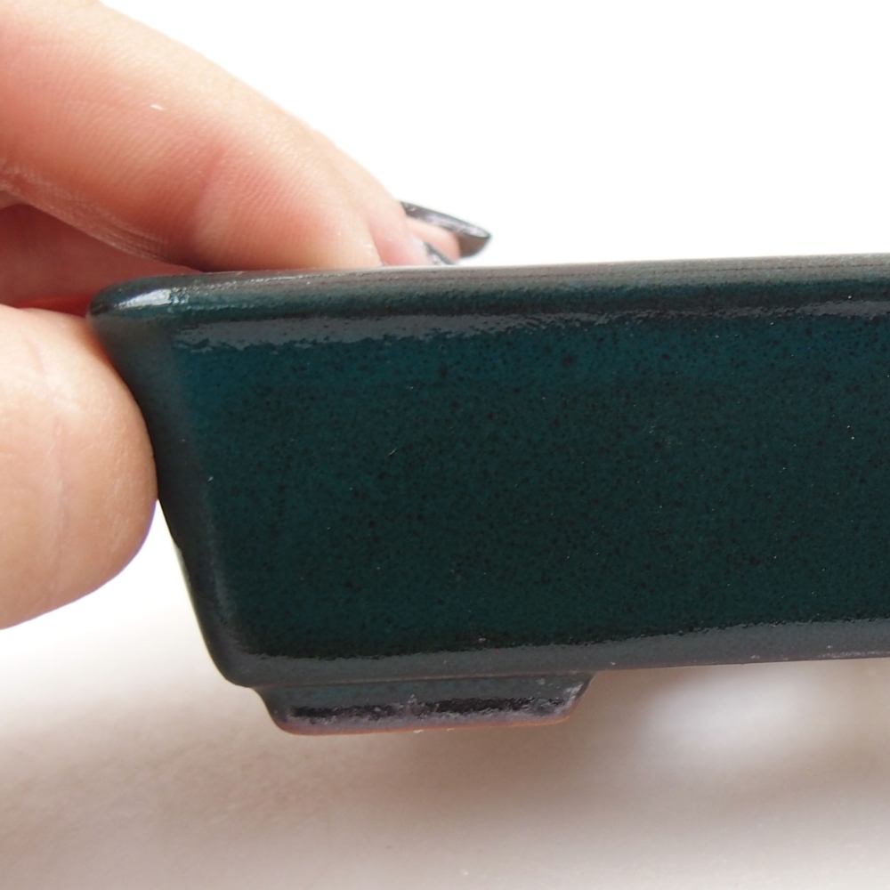 Bol à bonsaï en céramique 22 x 17 x 5 cm, vert