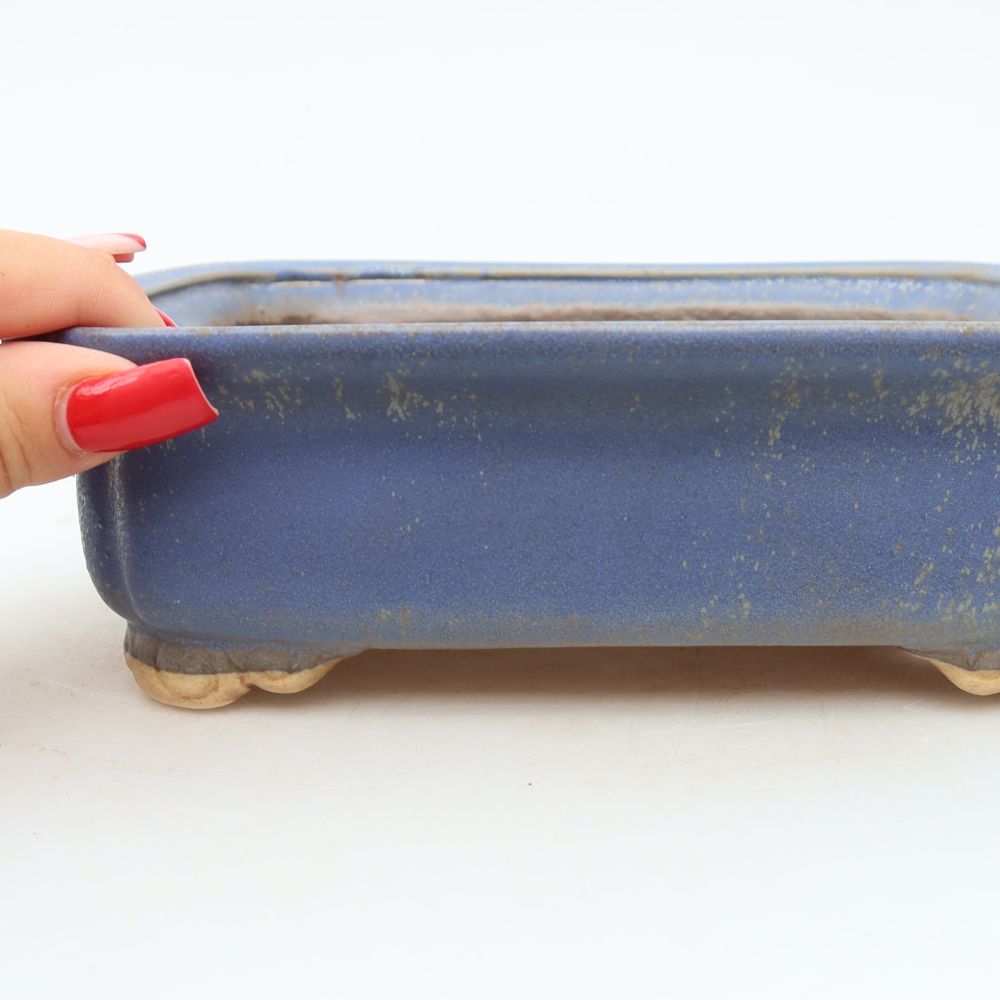 Pot à bonsaï en céramique 20 x 17,5 x 6 cm, couleur bleue