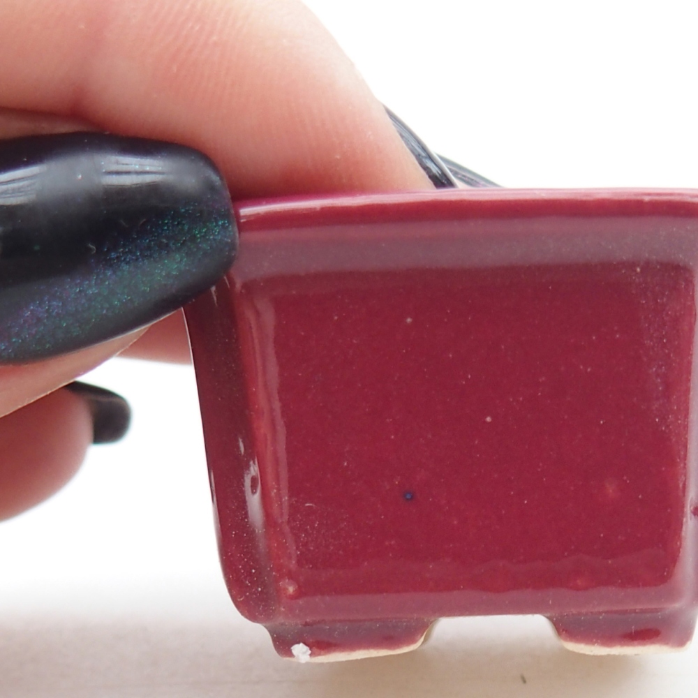 Mini bol bonsaï 3,5 x 3,5 x 2 cm, bordeaux