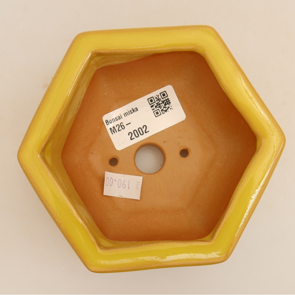 Pot à bonsaï en céramique 12 x 10,5 x 4 cm, couleur jaune