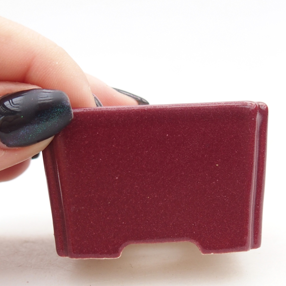 Mini bol bonsaï 5 x 5 x 3 cm, bordeaux