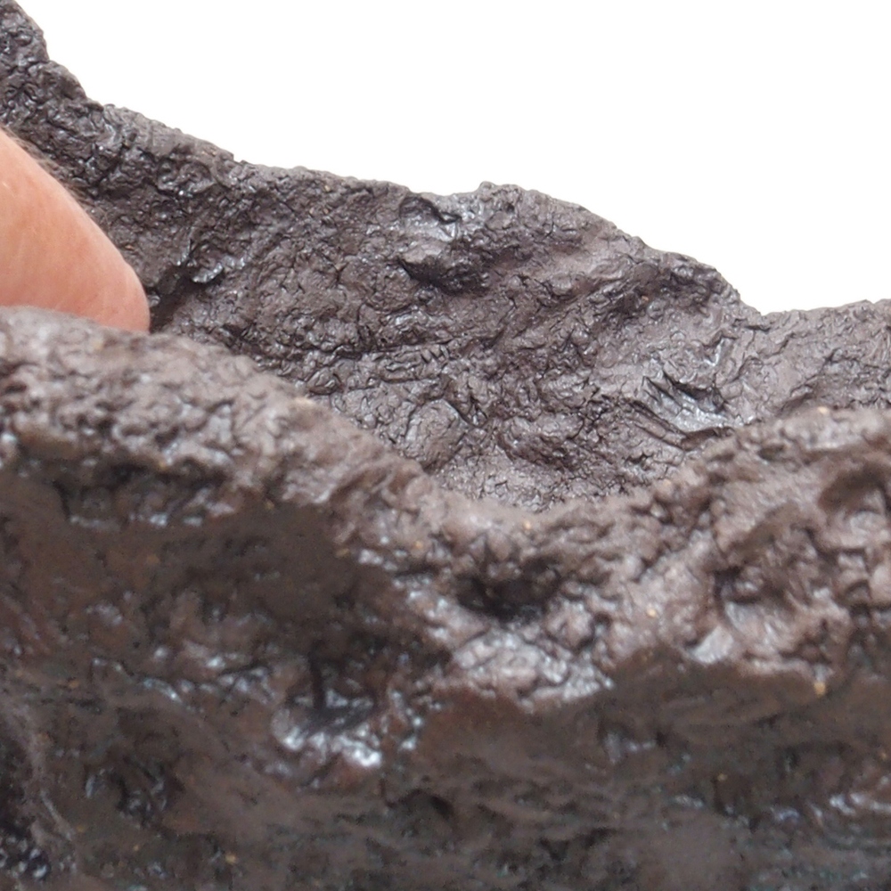 Coquille en céramique 18 x 14 x 14 cm , couleur marron