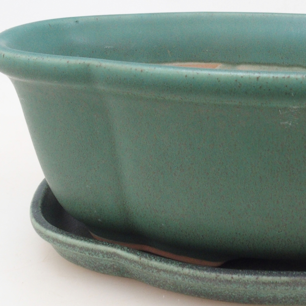 Bol Bonsaï + soucoupe H75 - vert