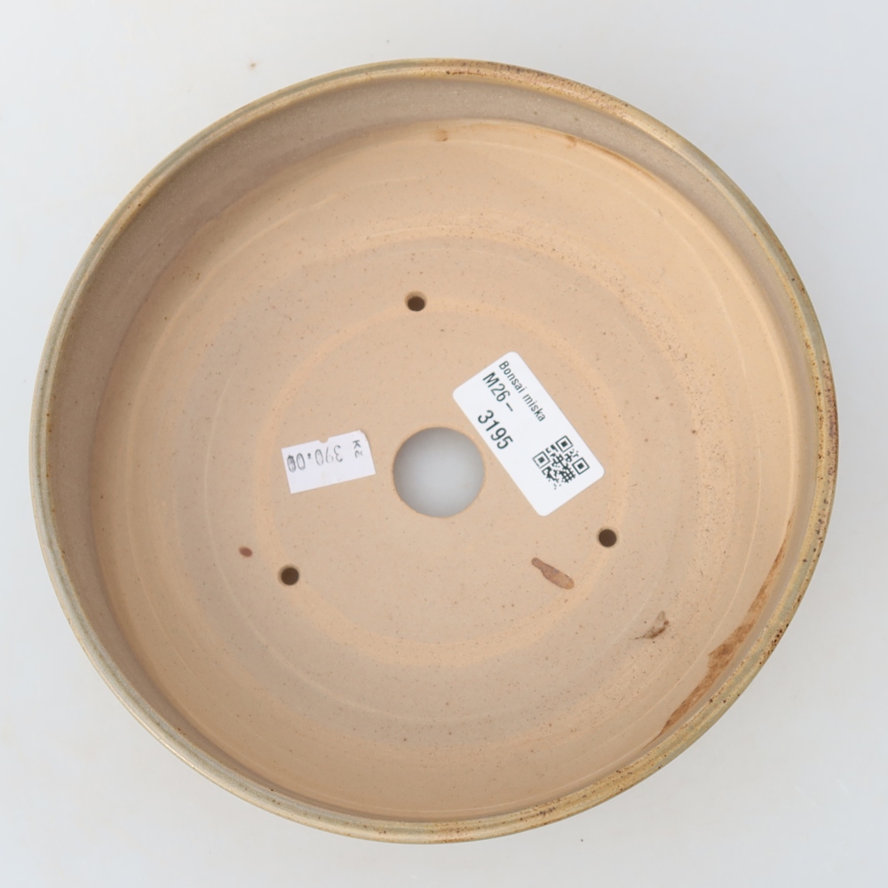 Pot à bonsaï en céramique 17,5 x 17,5 x 6 cm, couleur beige