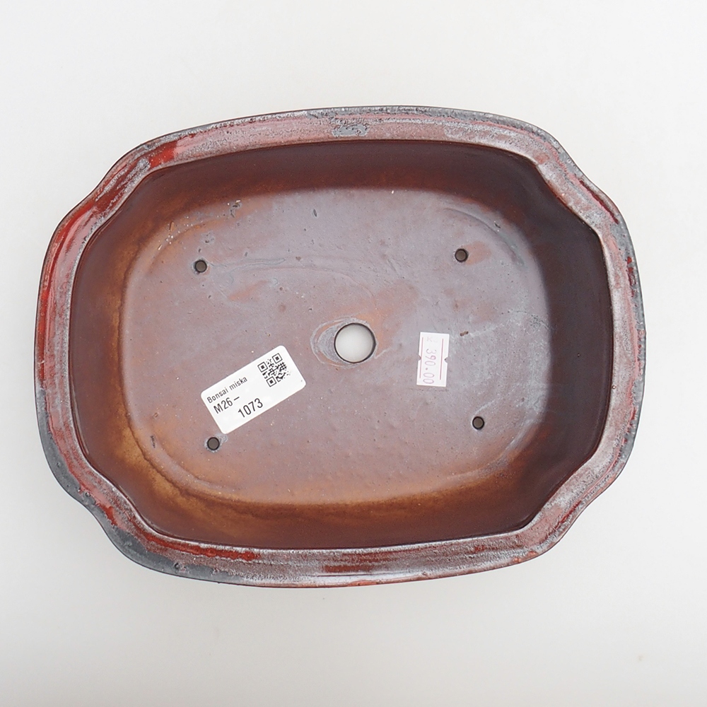 Bol à bonsaï en céramique 22 x 16,5 x 7 cm, couleur rouge