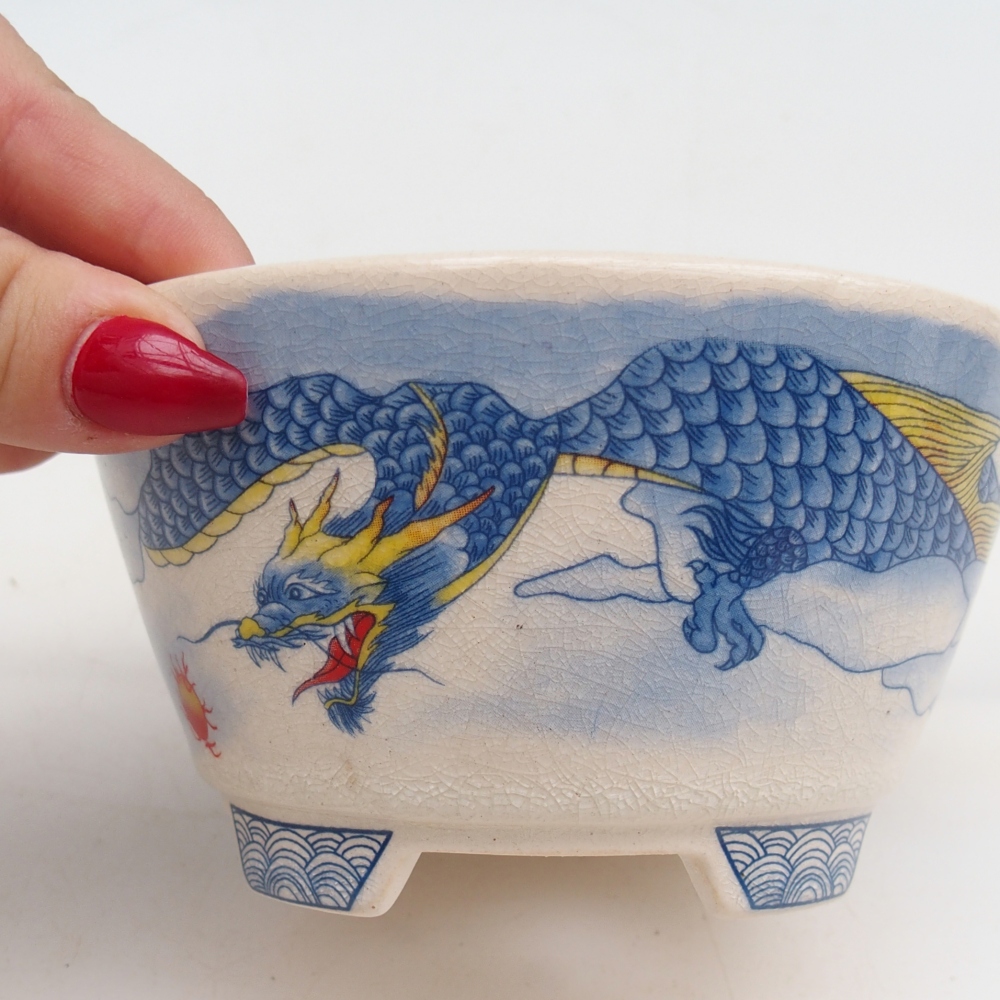 Bol à bonsaï en céramique 12 x 12 x 6,5 cm, couleur bleu-blanc