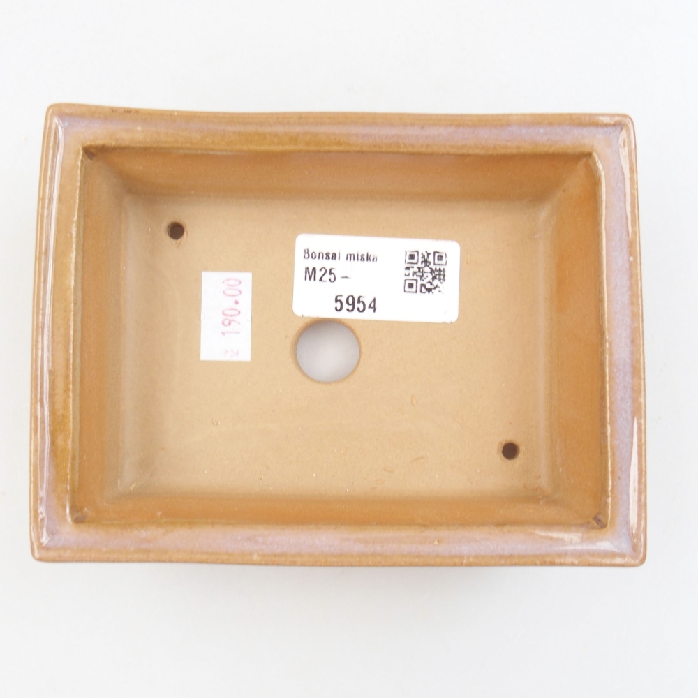 Bol à bonsaï en céramique 22 x 17 x 5 cm, vert