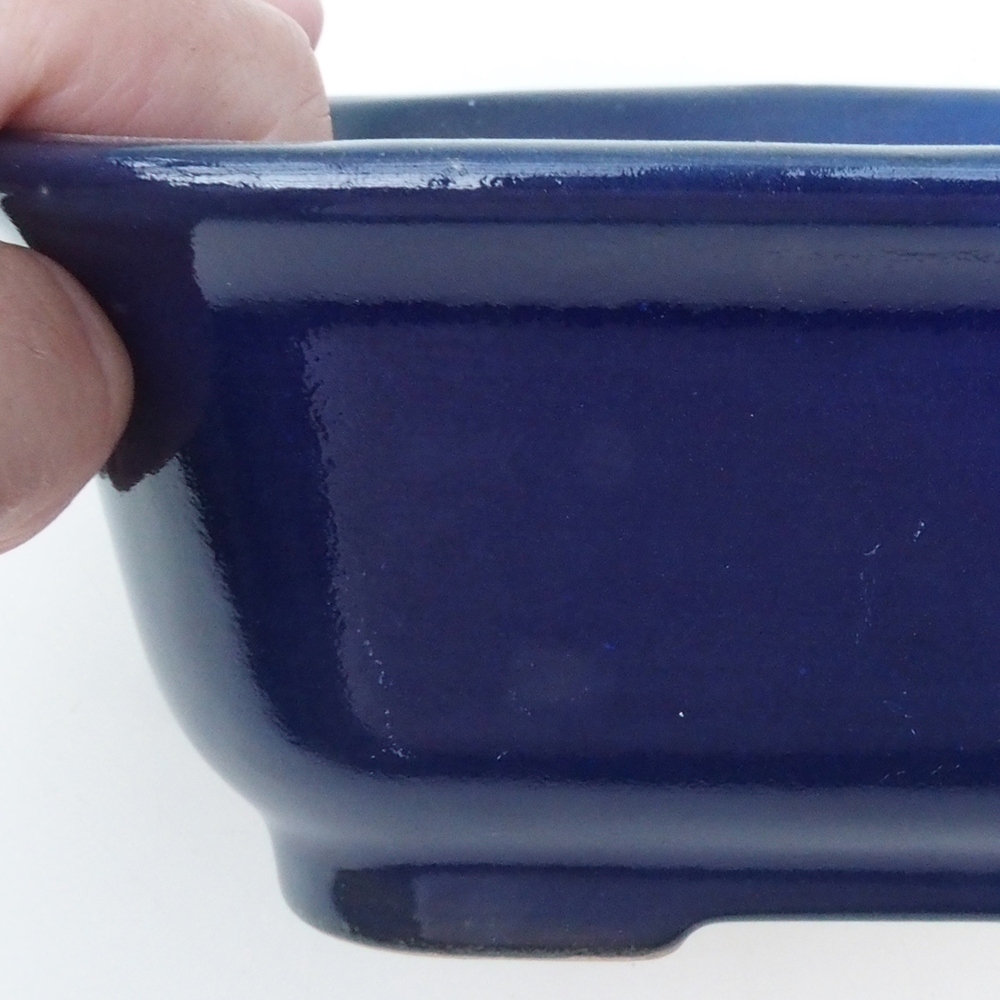 Coupe bonsaï H37 - 14,5 x 13 x 6,5 cm - bleu