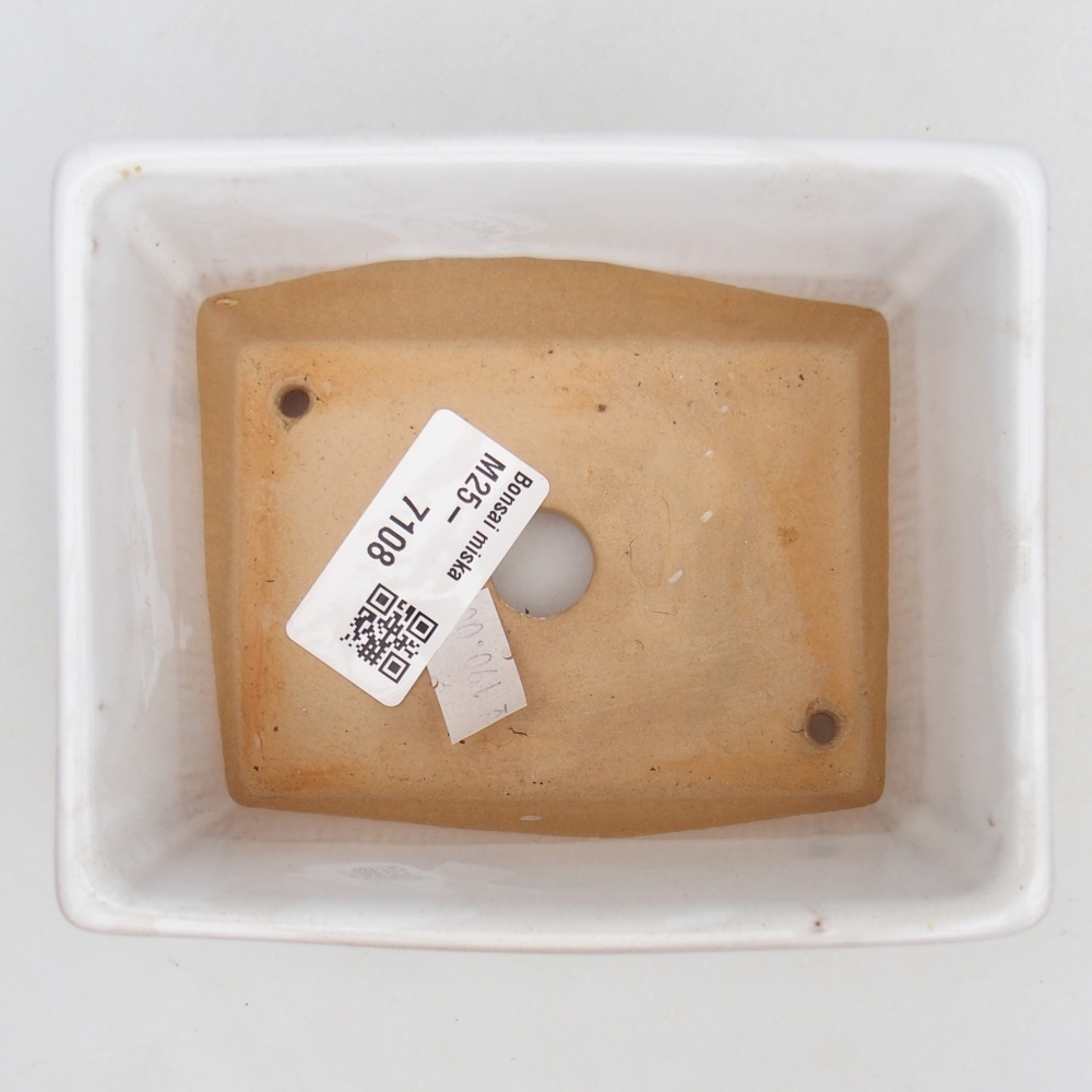 Bol à bonsaï en céramique 11,5 x 9,5 x 6 cm, blanc