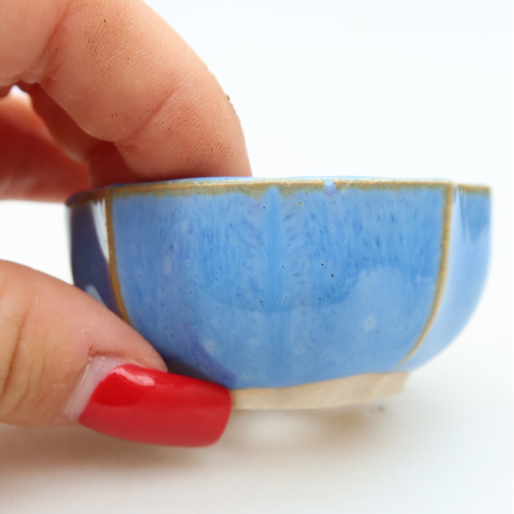 Pot à bonsaï en céramique 5,5 x 5,5 x 3 cm, couleur bleue