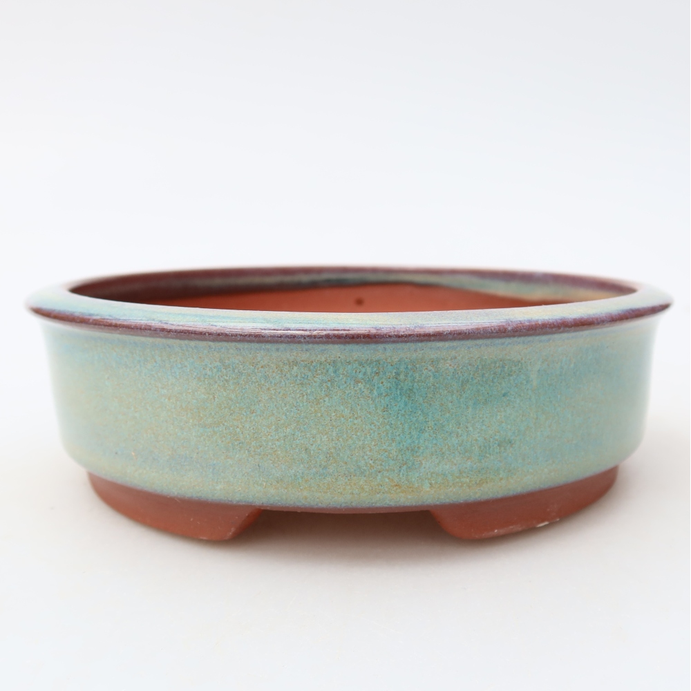 Bol à bonsaï en céramique 15 x 15 x 4,5 cm, vert