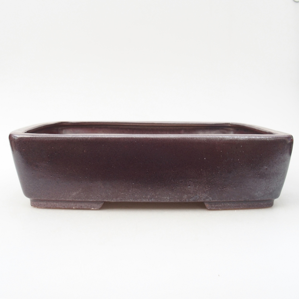 Bol bonsaï en céramique 26,5 x 20,5 x 6,5 cm, bordeaux
