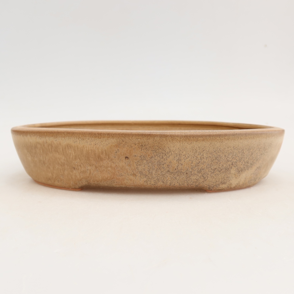 Bol à bonsaï en céramique 22 x 17 x 4 cm, couleur beige