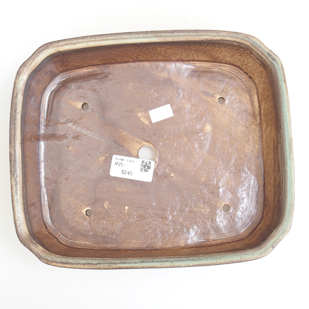 Bol à bonsaï en céramique 24 x 20,5 x 6 cm, vert