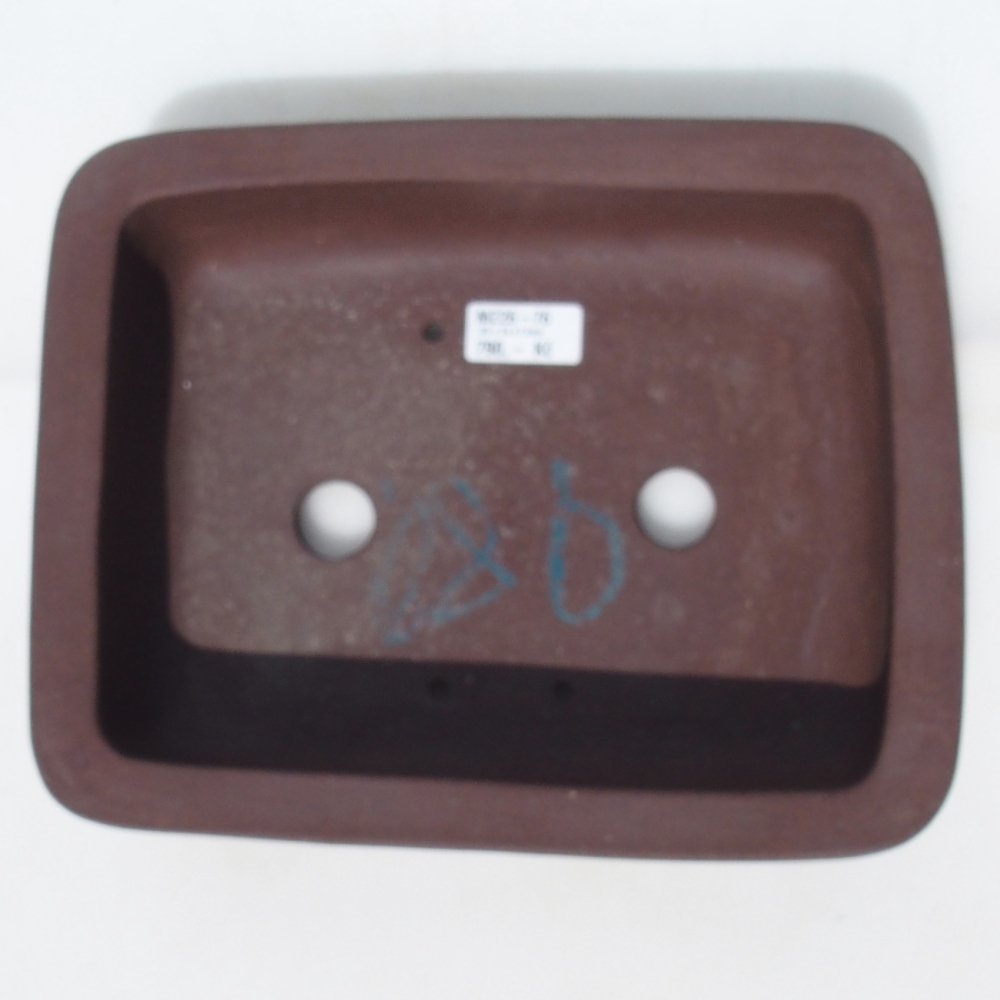 Bol pour bonsaï 30 x 24 x 7,5 cm bouleau brun