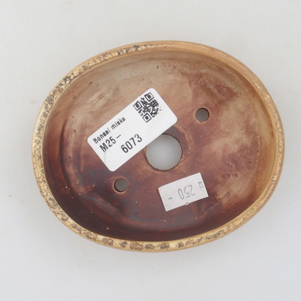 Bol à bonsaï en céramique 10 x 8,5 x 4 cm, brun