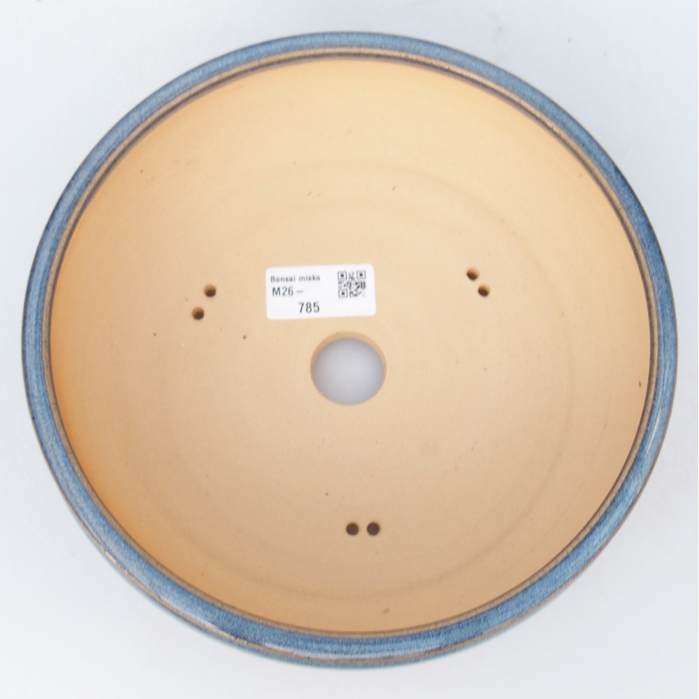 Bol à bonsaï en céramique 20,5 x 20,5 x 7 cm, couleur bleu