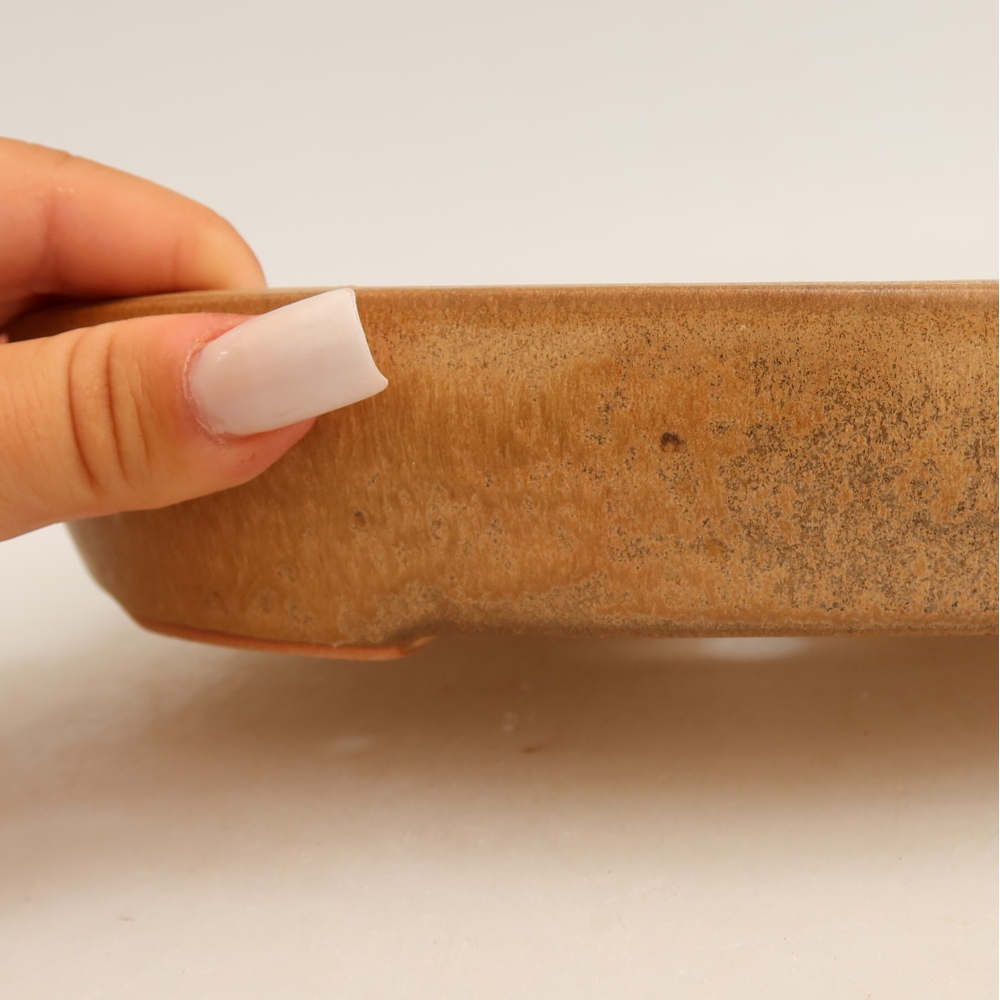 Bol à bonsaï en céramique 22 x 17 x 4 cm, couleur beige