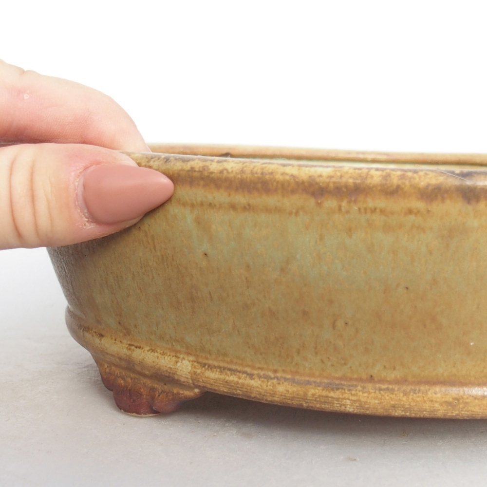 Bol à bonsaï en céramique 21 x 21 x 6 cm, vert