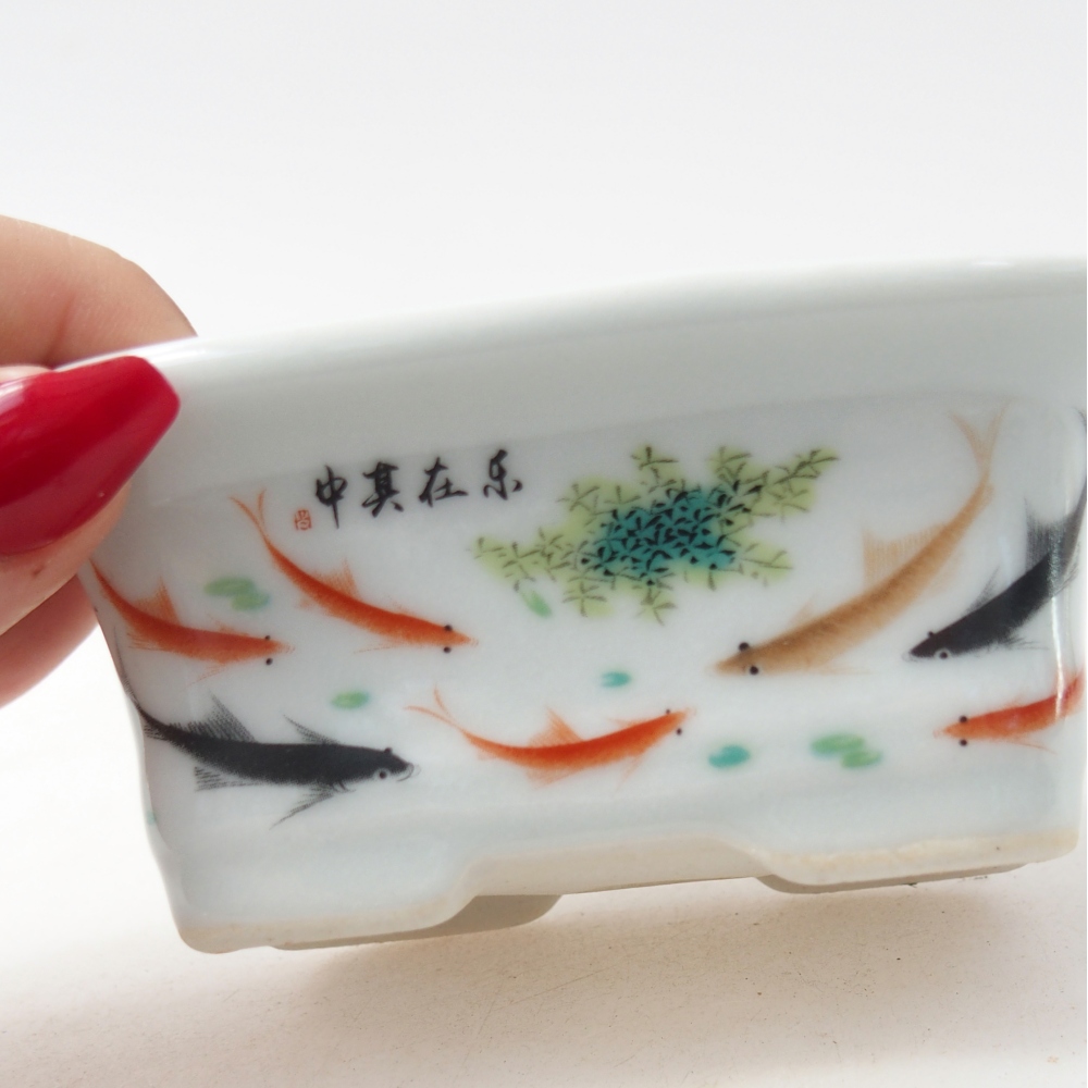 Mini bol bonsaï 10 x 7,5 x 4 cm, couleur blanc