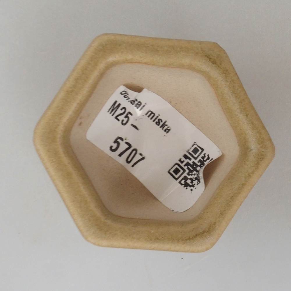 Mini bol bonsaï 5 x 4,5 x 3 cm, brun