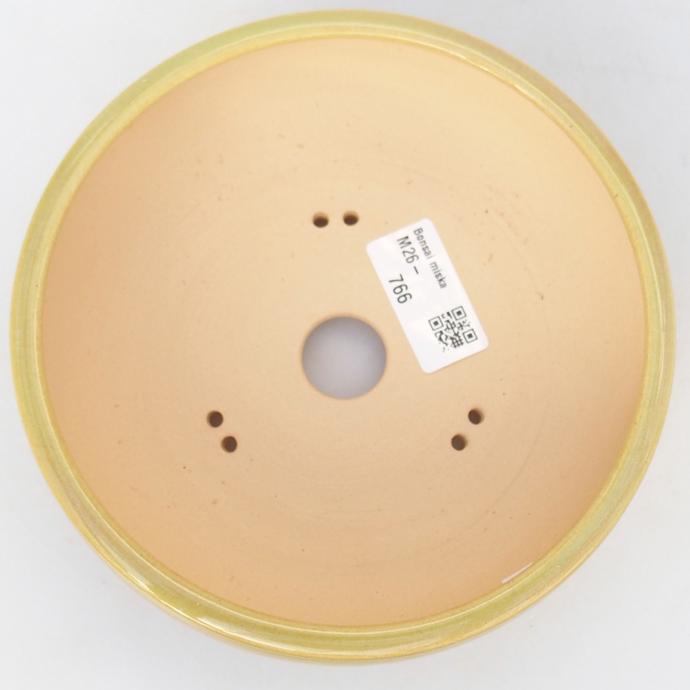 Bol à bonsaï en céramique 15,5 x 15,5 x 5,5 cm, jaune-vert