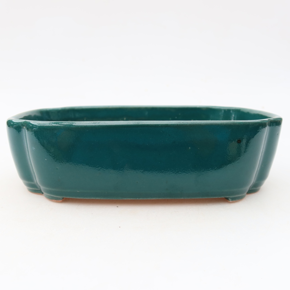 Pot à bonsaï en céramique 18,5 x 13 x 5 cm, couleur verte