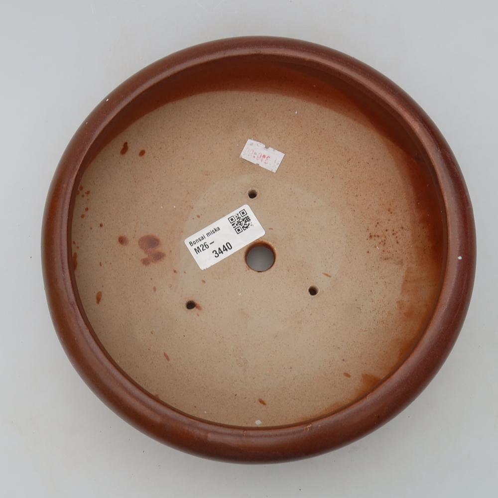 Pot à bonsaï en céramique 20 x 20 x 7,5 cm, couleur bordeaux