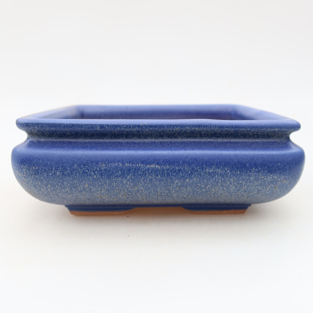 Bol à bonsaï en céramique 15,5 x 15,5 x 6 cm, couleur bleu