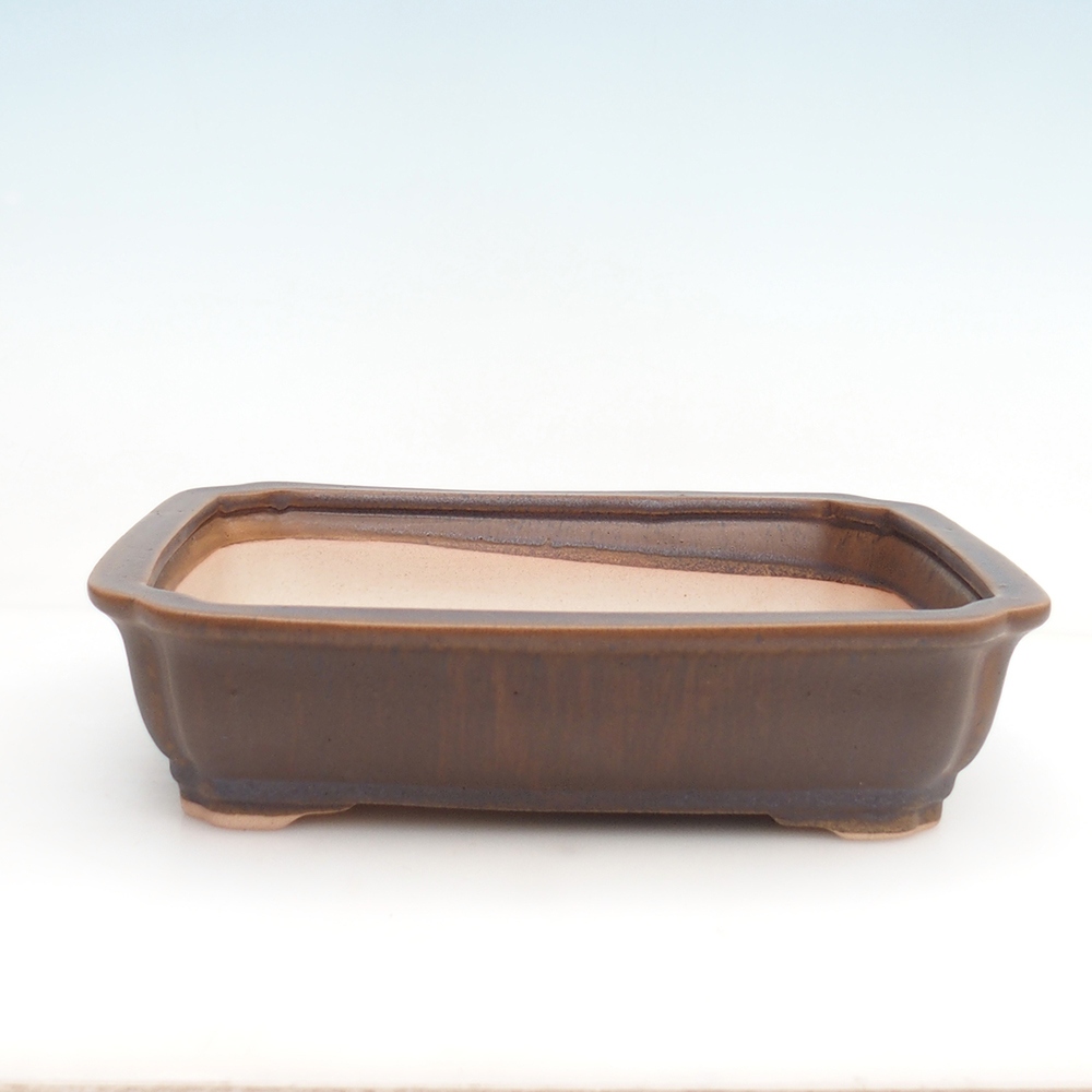 Bol Bonsaï + soucoupe H07 - 30 x 20,5 x 8 cm.