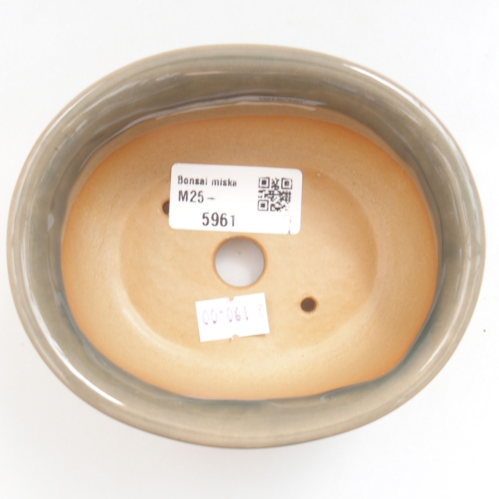 Bol à bonsaï en céramique 22 x 17 x 5 cm, vert