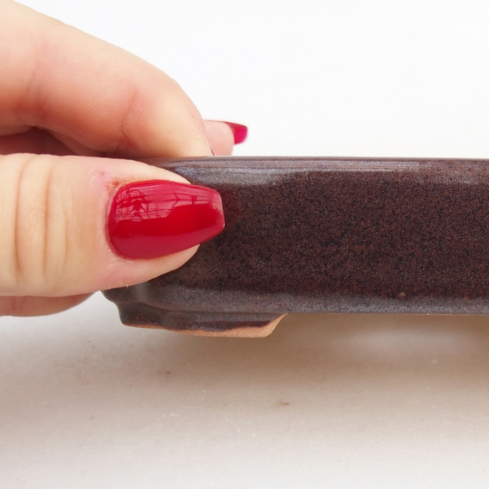 Bol à bonsaï en céramique 12,5 x 9 x 3 cm, brun