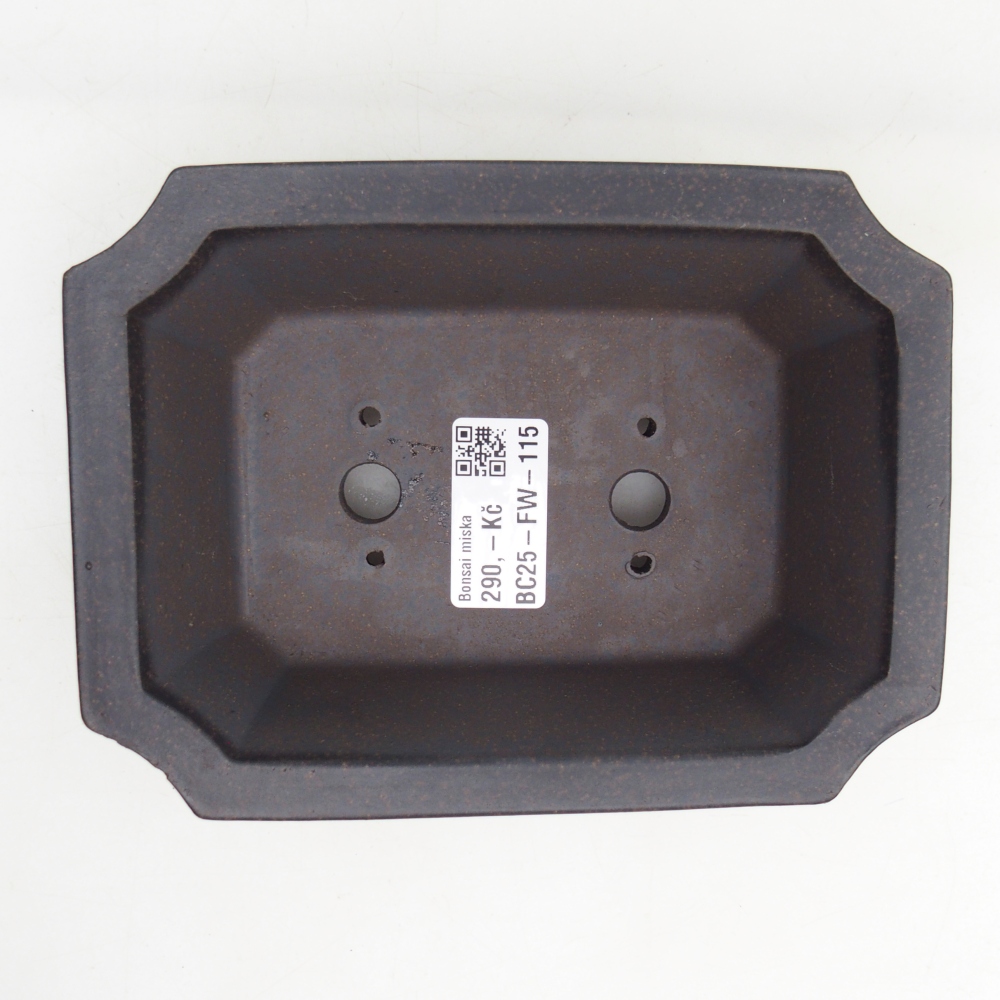 Bol à bonsaï en céramique 16 x 12 x 5 cm, ocre brunâtre