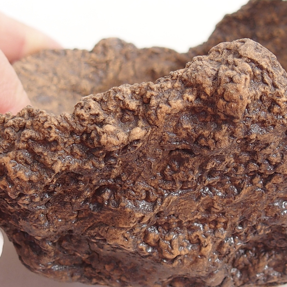 Coquille en céramique 10 x 8 x 9 cm , couleur marron