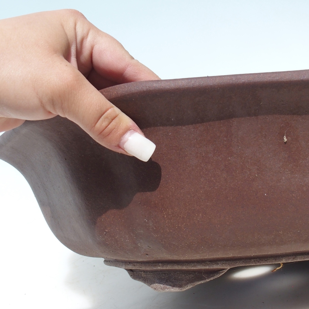 Bol pour bonsaï 39 x 39 x 11,5 cm bouleau brun