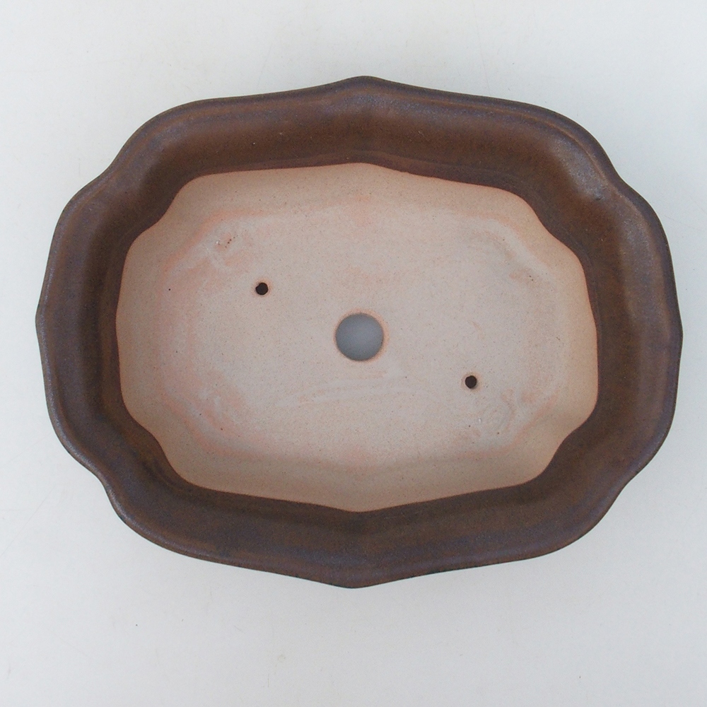 Bol à bonsaï H51 - 18 x 14 x 5 cm - brun