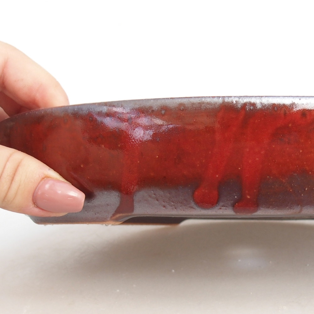Bol à bonsaï en céramique 22 x 17 x 4 cm, couleur rouge