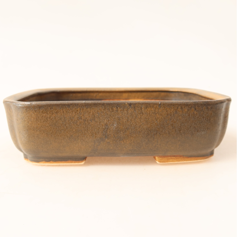 Pot à bonsaï en céramique 18 x 14 x 4,5 cm, couleur marron