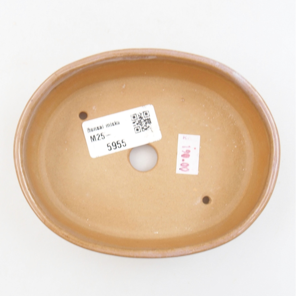 Bol à bonsaï en céramique 22 x 17 x 5 cm, vert